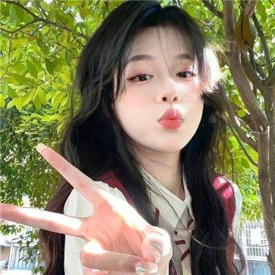 企鹅之岛:福克兰